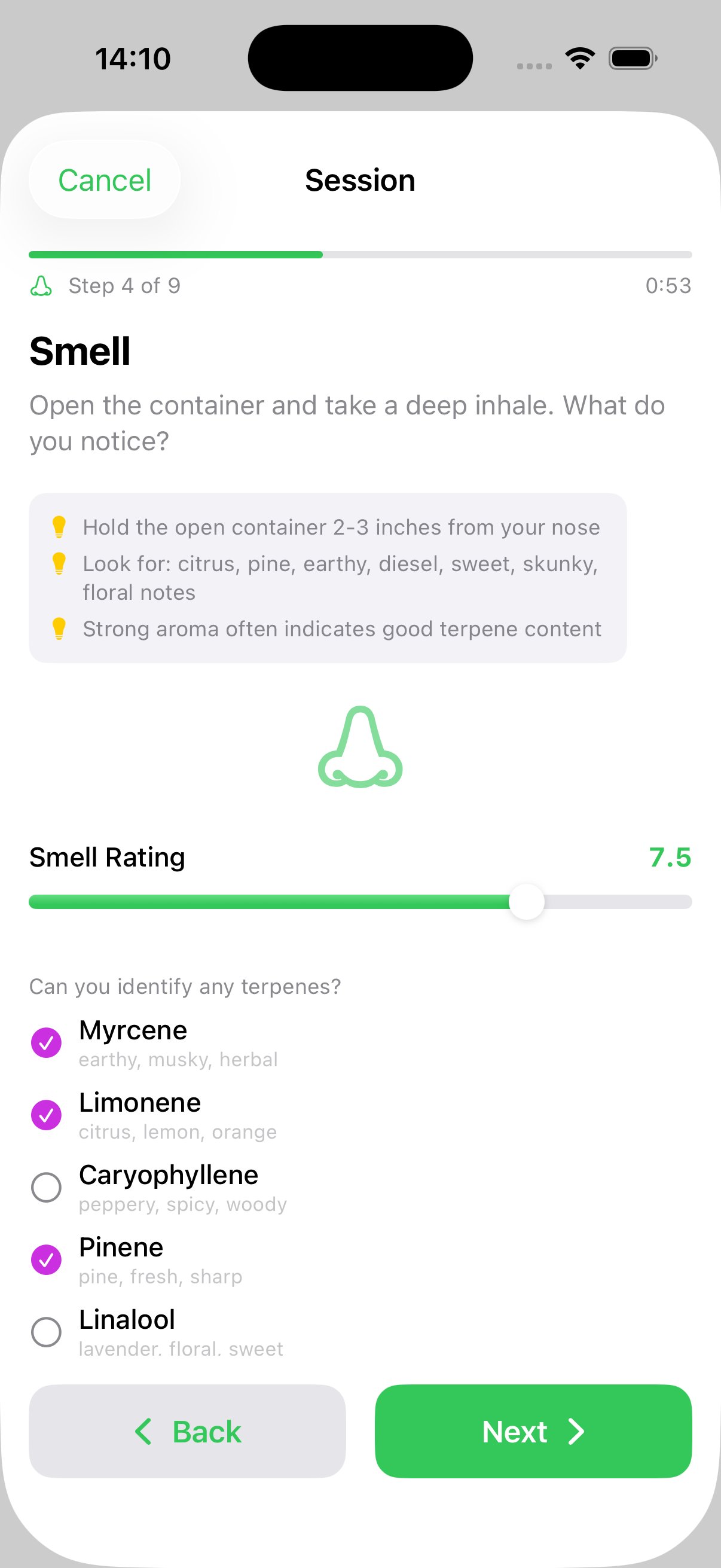 Step 4: Smell rating with terpene hints